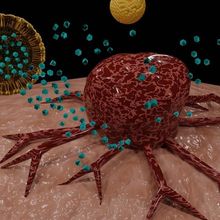 Lipid nanoparticle delivers treatment to a cancer cell.